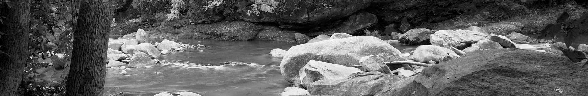 Black and White Photography