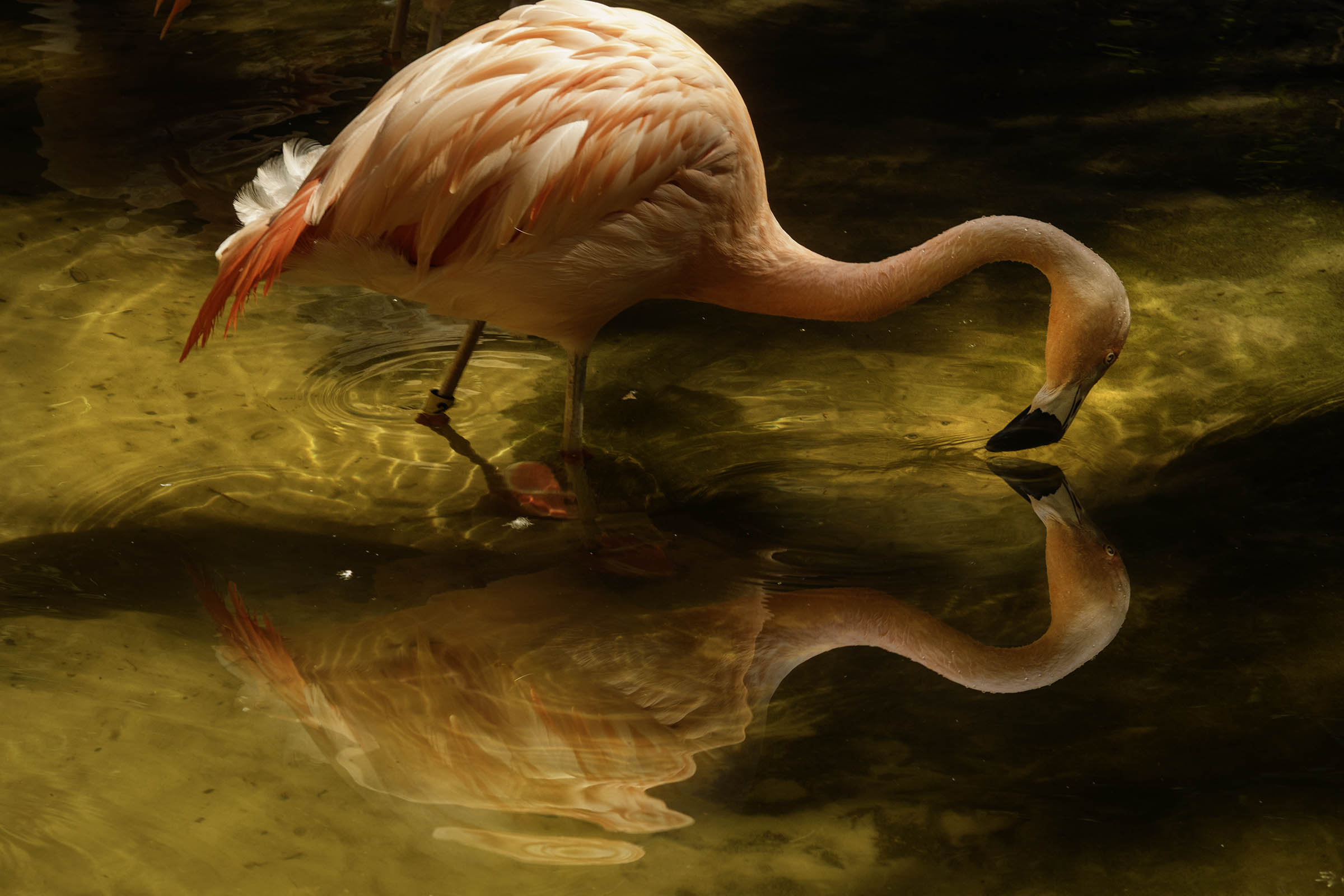 Nature Photography