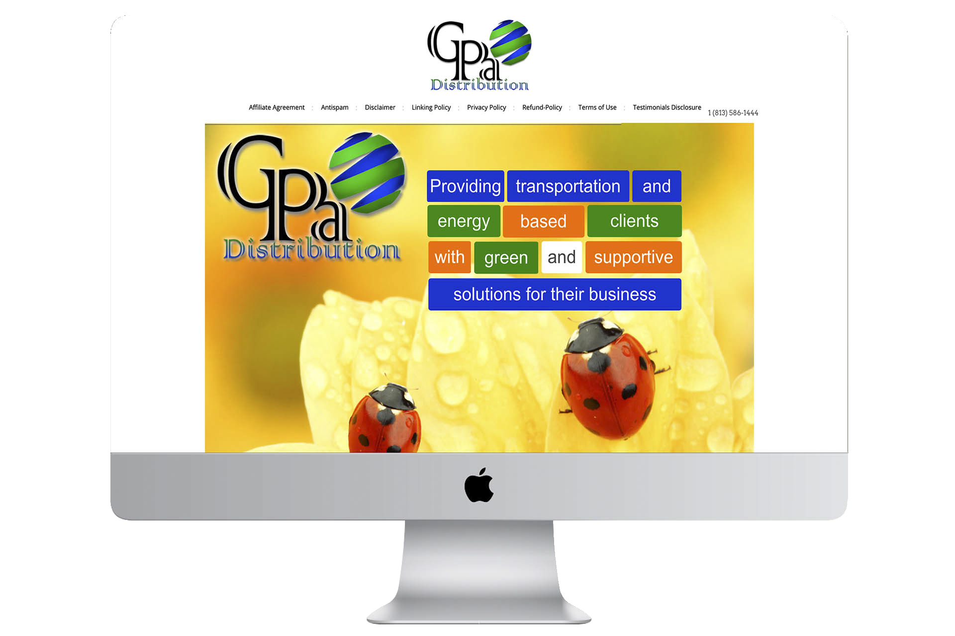 Website Animation Design Service Agency