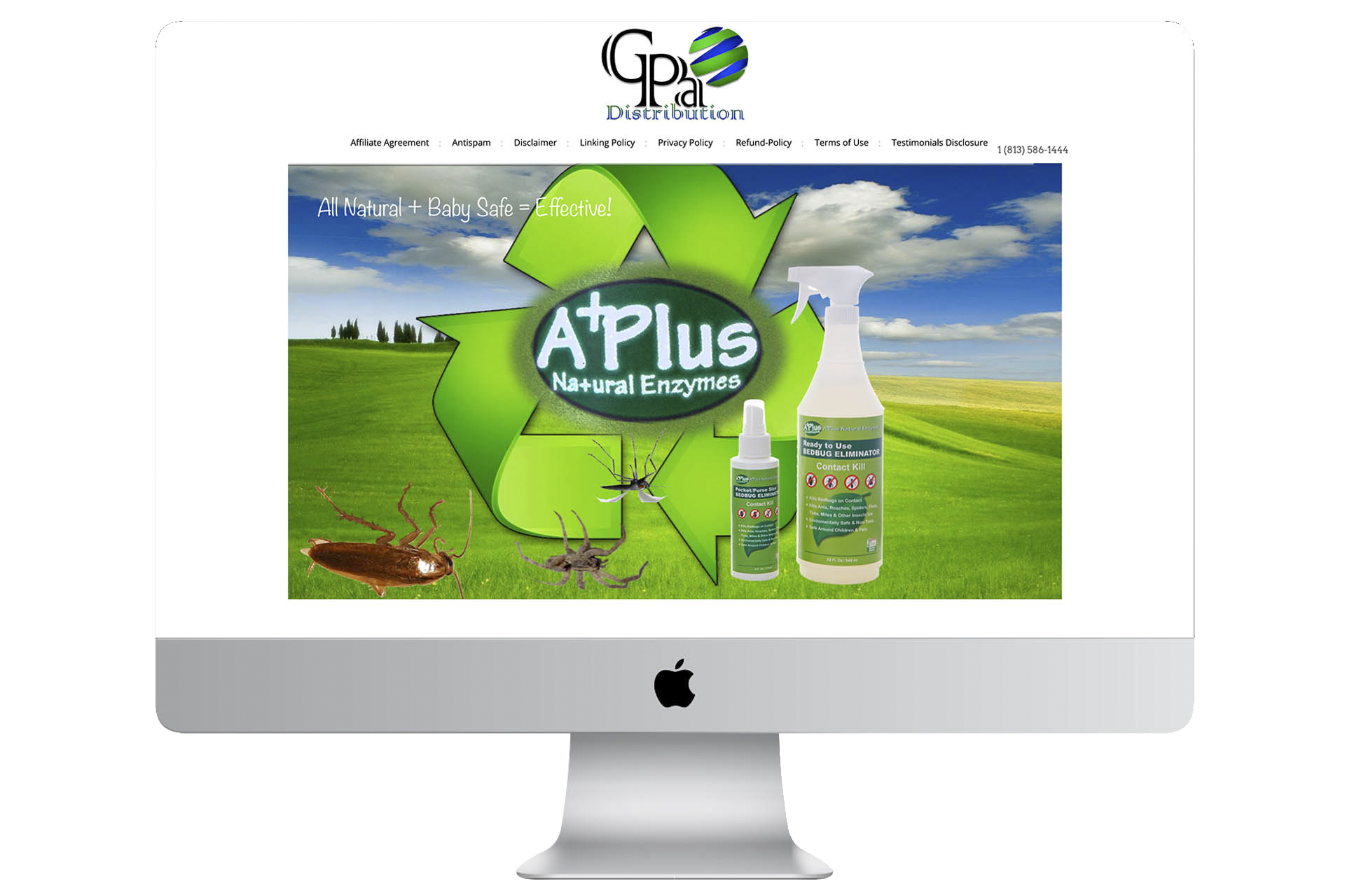 Website Animation Company