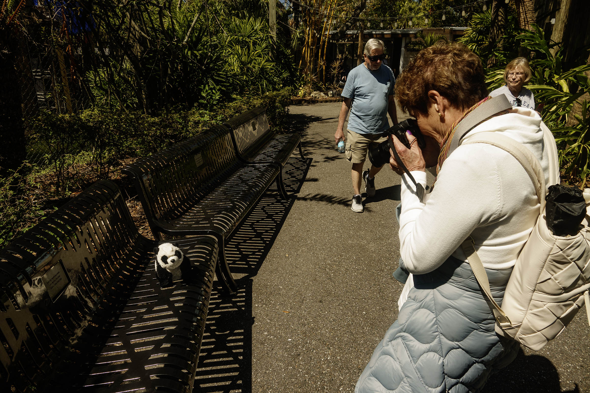 Animal Photography